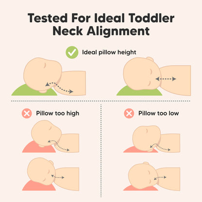 Toddler Pillow with Pillowcase - 13x18 My Little Dreamy Kids Travel Bed Pillows for Sleeping, Organic Cotton Small Pillowcase, Soft & Breathable, Machine Washable, Toddlers 2-5 years old (Wild Picnic)