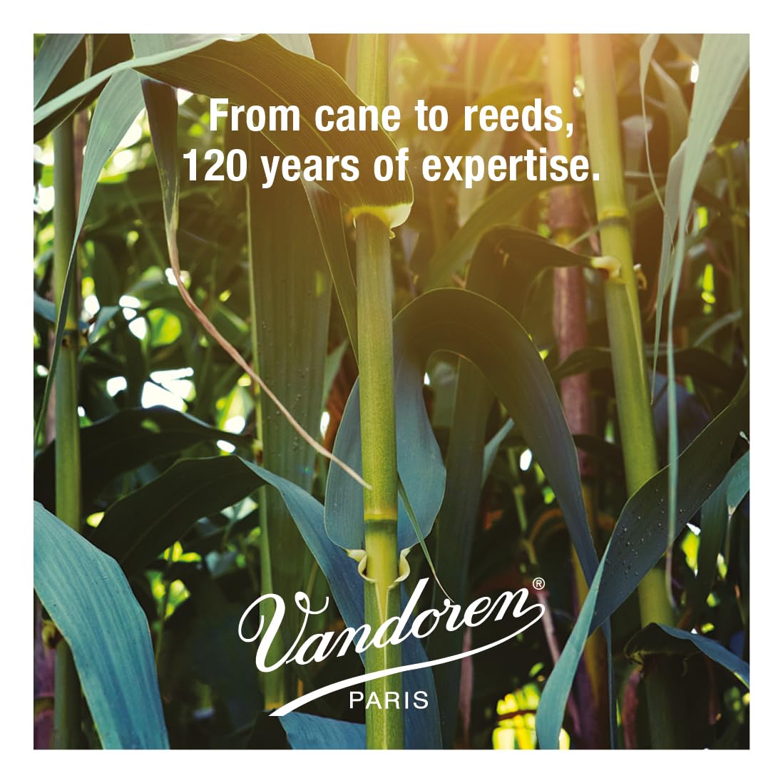 Vandoren SR213 Alto Sax Traditional Reeds Strength 3; Box of 10