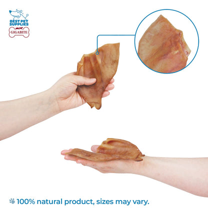 Best Pet Supplies GigaBite Roasted Pig Ears for Dogs - Natural Dog Chews, Roasted Pigs Ears, Safe for Puppies and Aggressive Chewers, Cleans Teeth and Gums - Pack of 25
