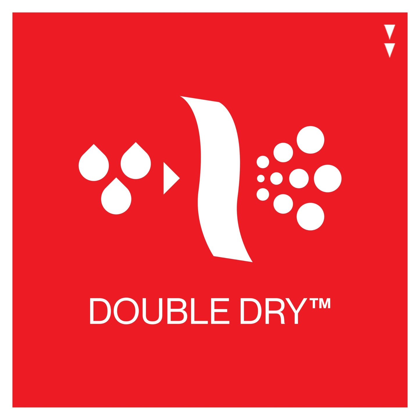 Champion Women's Sports Bra, High-Impact, Maximum Support, Breathable, Moisture Wicking, White, 36C