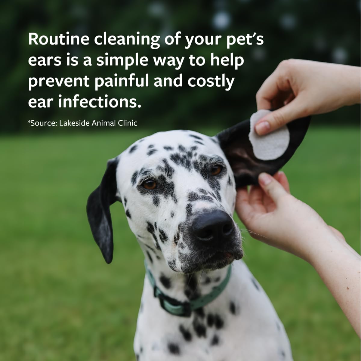 Veterinary Formula Clinical Care Ear Therapy Wipes, 100ct – Cat and Dog Ear Cleaner – Help Relieve Itchy Ears Quickly & Effectively Remove Dirt, Debris, and Foul Odor