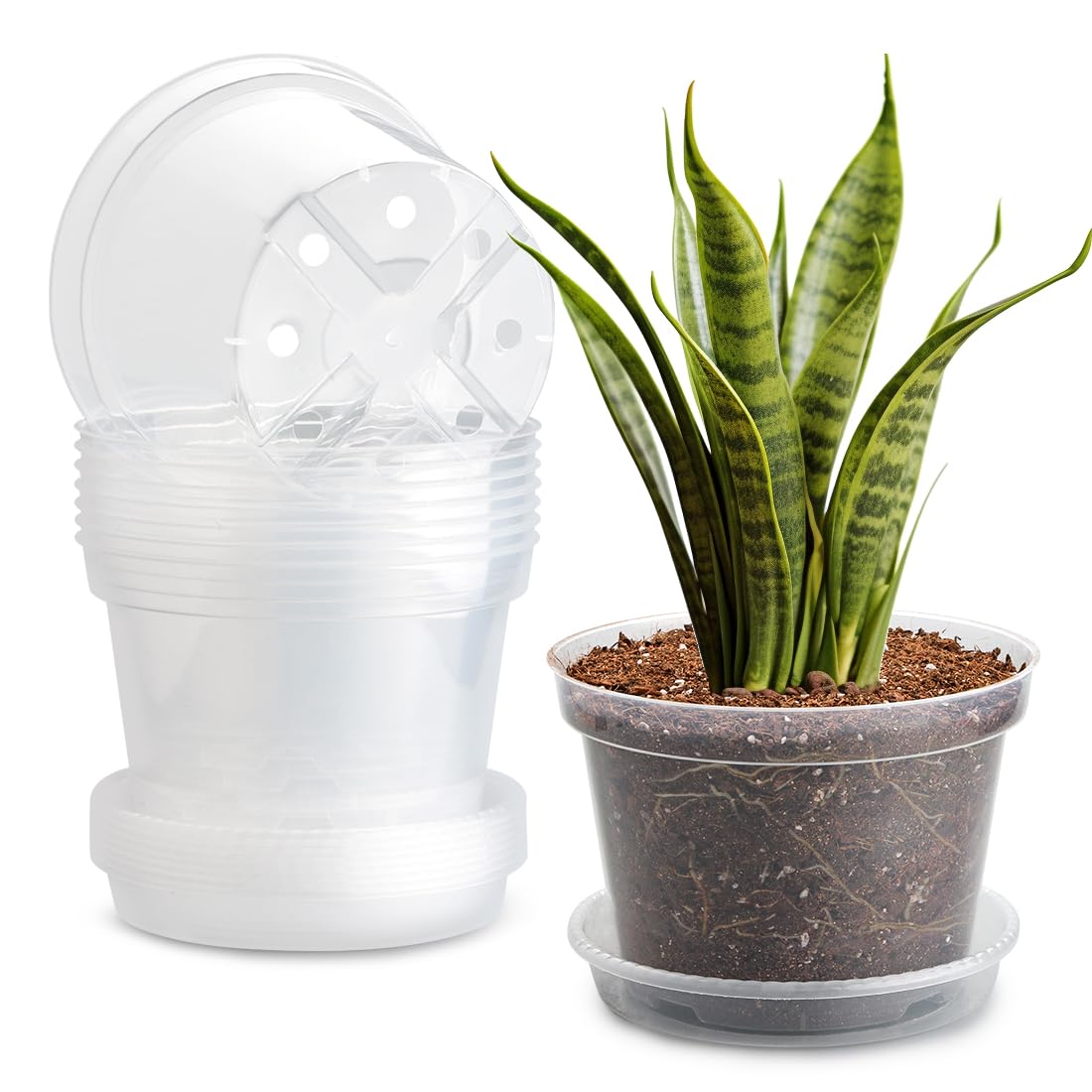 7 Pack 8 Inch Clear Nursery Pots with Saucer, Transparent Plastic Plant Pot with Drainage Holes, Sturdy Plant Starter Pots, Planter Pot for Planting Succulent Flower Herb Vegetable, Gardening Gifts
