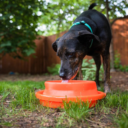 ust Flexware Collapsible Bucket 2.0, 2.64 Gallon, Orange (20-12267)