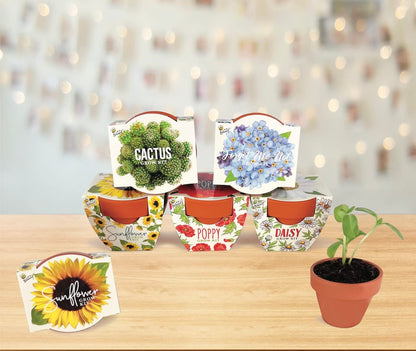 Buzzy Seeds Terracotta Mini Grow Pots | Herb, Plant, Flower Starter Kit for Kids & Adults | Assorted 6-Pack, Daydream Collection | Guaranteed to Grow | Best Indoor-Outdoor Gardening Gift