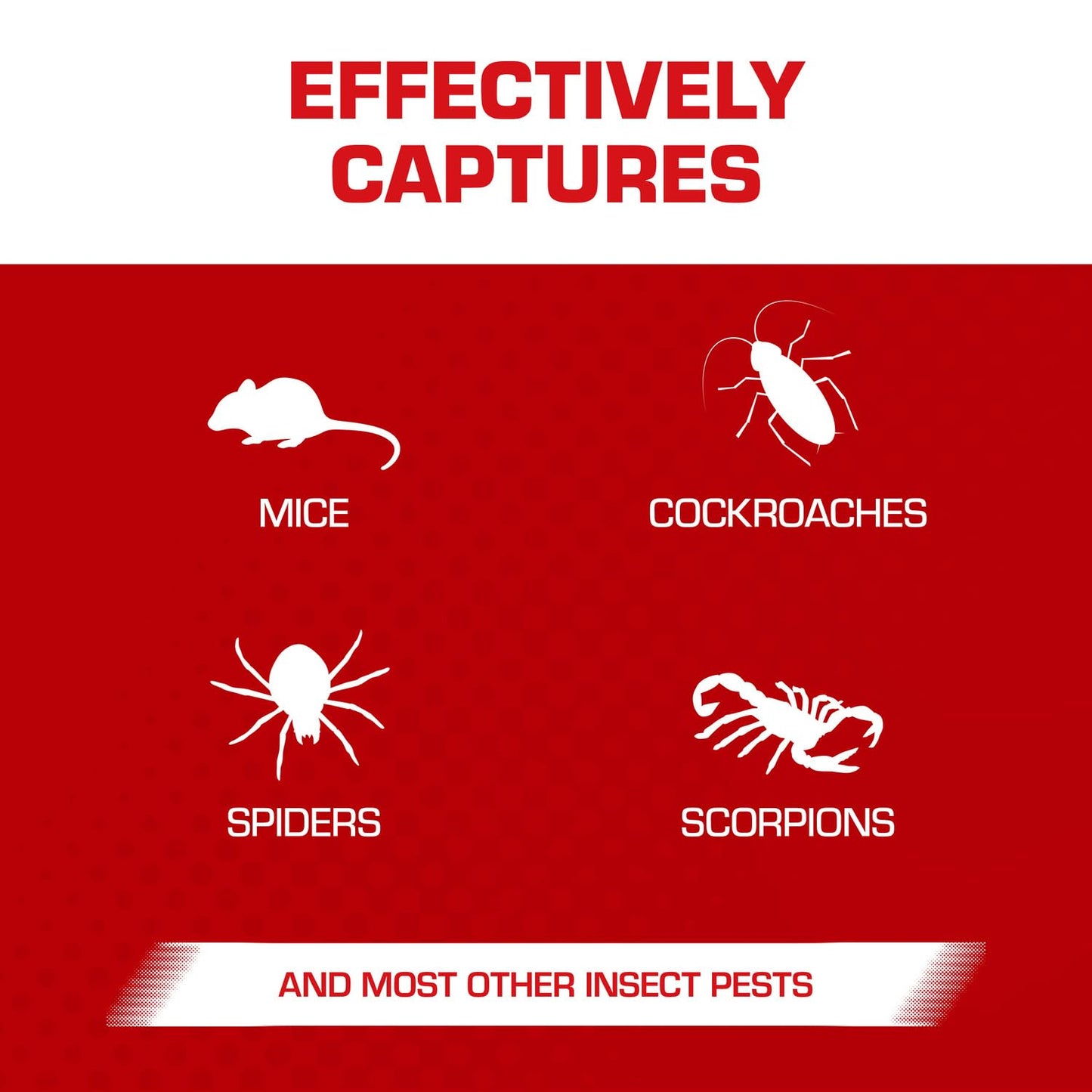 Tomcat Glue Traps Mouse Size with Eugenol for Enhanced Stickiness for Mice, Cockroaches, and Spiders, 6 Traps