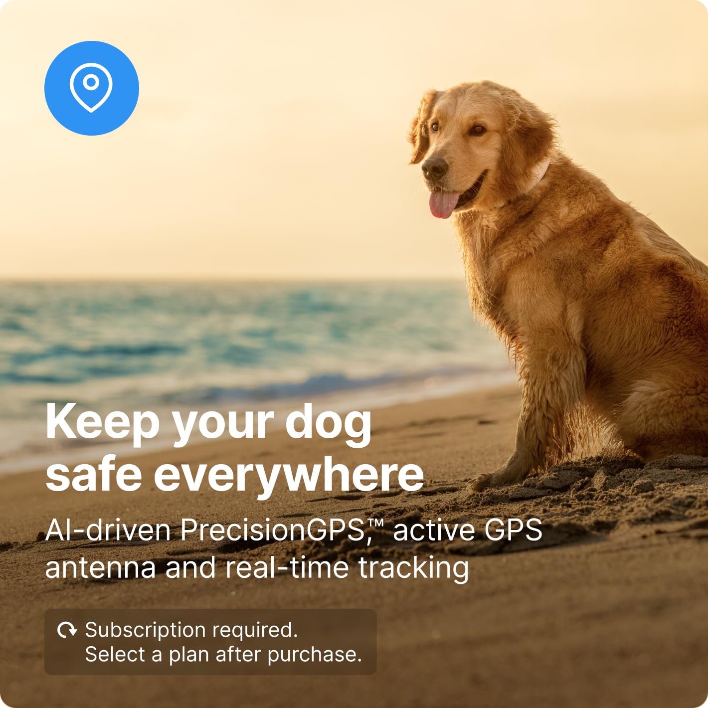 Halo Collar 3, Multifunctional GPS Wireless Dog Fence & Dog Training Collar with GPS Tracker, Subscription Required, Waterproof, Graphite (Medium/Large)