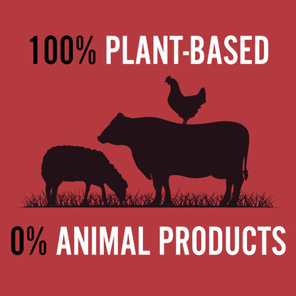 RAMEN EXPRESS Hot & Spicy Chicken Flavor Ramen Cup Noodle, 2.25 Oz Each (Pack Of 12) | Animal-free Ramen Noodles | All Plant-based | Made in U.S. with finest American flour