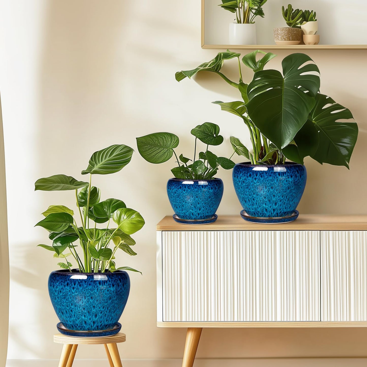 Ceramic Modern Glaze Succulent Planter Pot with Drainage Hole and Saucer 6 Inch Round Flower Plant Pot for Indoor Outdoor Herb Snake Plants