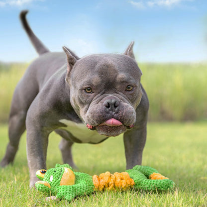 Sedioso Dog Tug Toy, Durable Dog Toy for Large Breed, Tug of War Dog Squeaky Toys, Stuffed Plush Dog Toy with Crinkle Paper for Small, Middle, and Big Dogs(Frog)