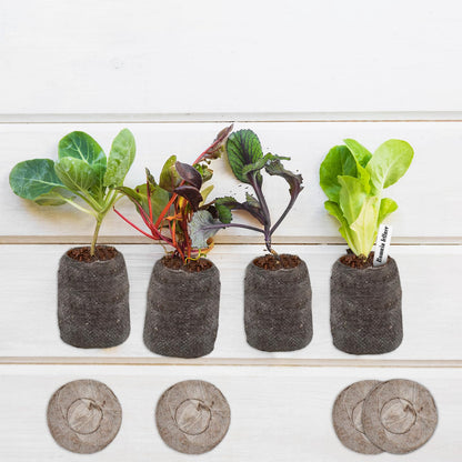 ZeeDix 100 Pcs 30mm Peat Pellets Seed Starter Soil Pods Plugs for Vegetable, Seedling Soil Block Compressed Peat Nutrient Seed Pods for Planting Easy Transplant