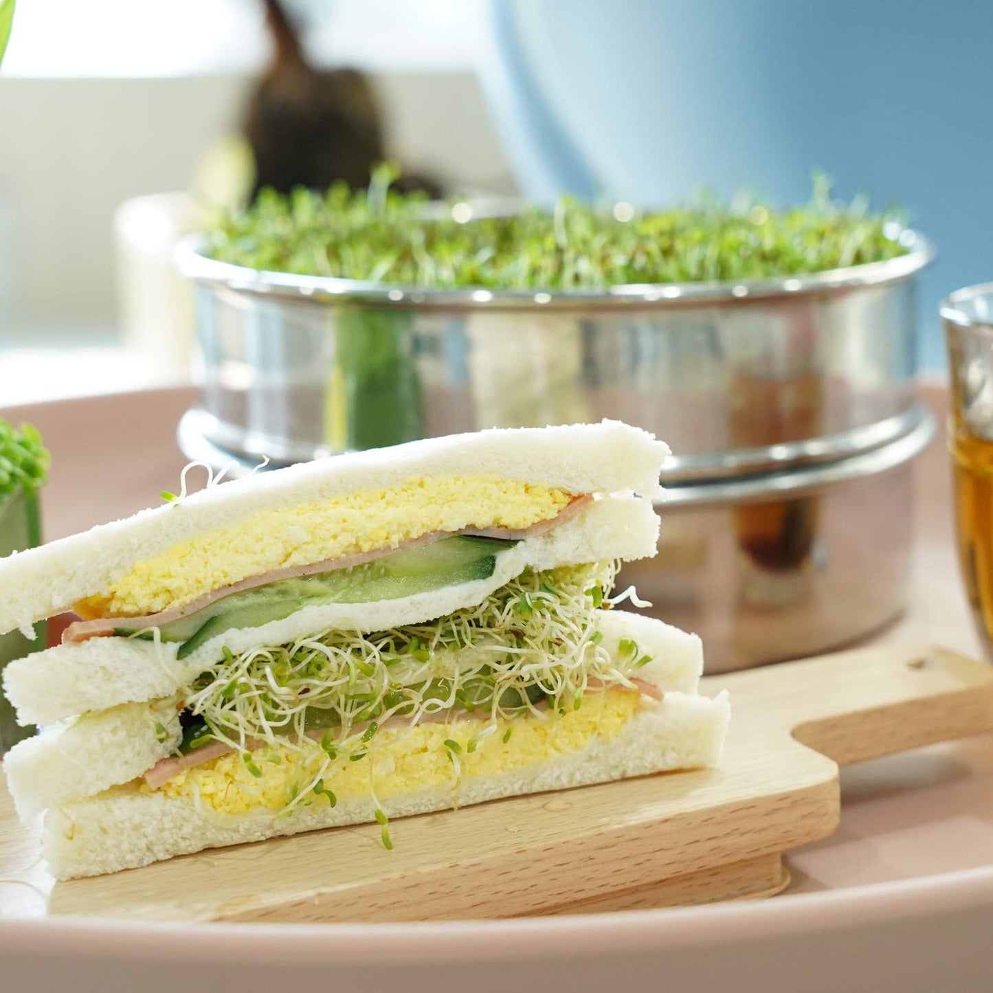 SOLIGT Stackable Stainless Steel Seed Sprouting Kit, 2-Tier Mesh Sprouting Trays, 1 Base and 1 Cover Lid