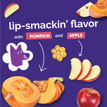 Fruitables Baked Dog Treats - Pumpkin Treats for Dogs - Healthy Low Calorie - Free of Wheat, Corn and Soy - 7 oz (Variety Pack of 4)