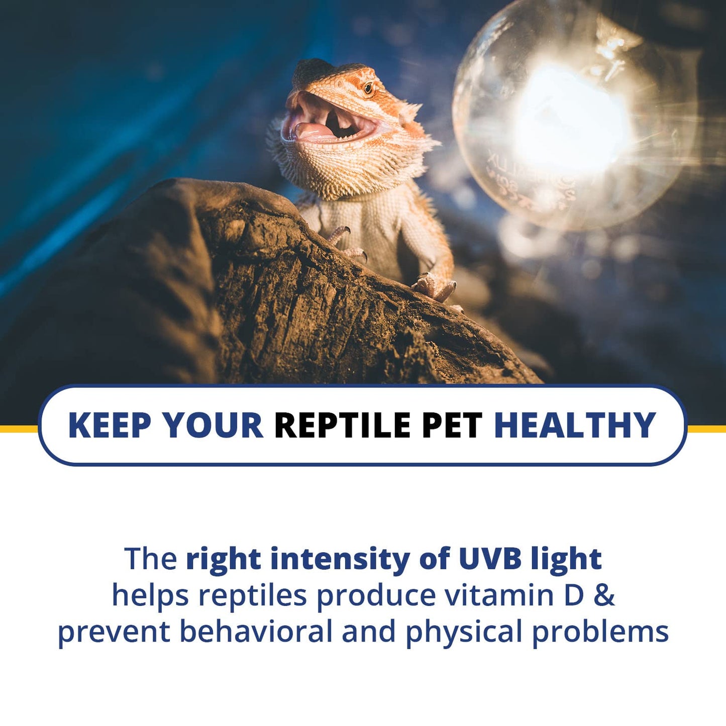 Solarmeter Model 6.5R Reptile UV Index Meter, Handheld Digital Radiometer for Measuring Ultraviolet Light, Measures 280-400 nm with Range from 0-199.9 UV Index, Made in USA, ABS Polymer, Black