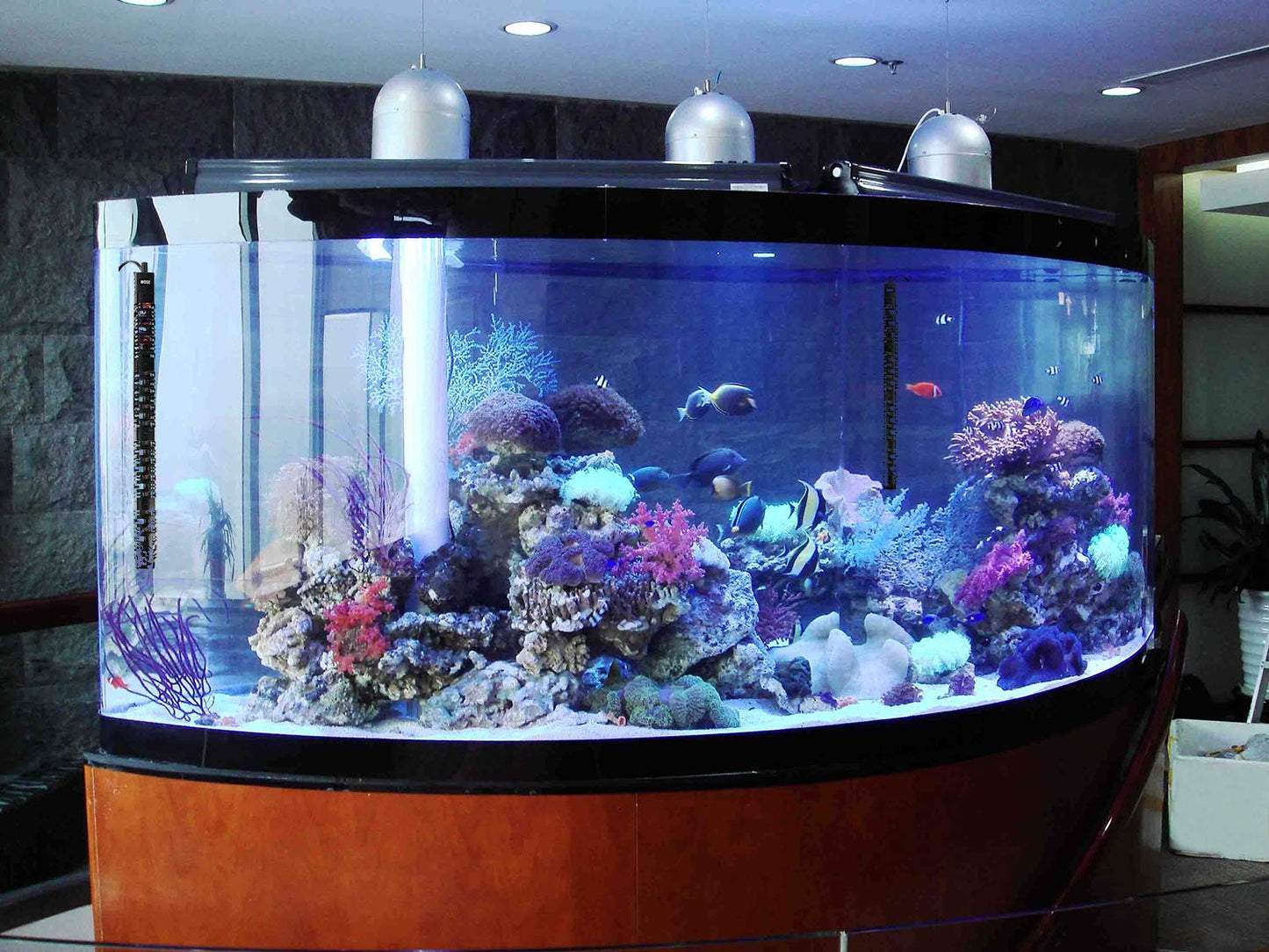 ZHGSERVU 100W/300W/500W Aquarium Heater Submersible 10-90 Gallon 300 Watt Fish Tank Heater with Durable Quartz Glass Protective Sleeve Auto Thermostat for Fresh Water and Salt Water