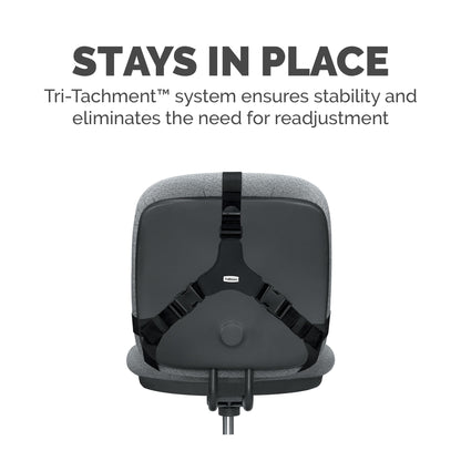 Fellowes Professional Series Back Support, Black (8037601)