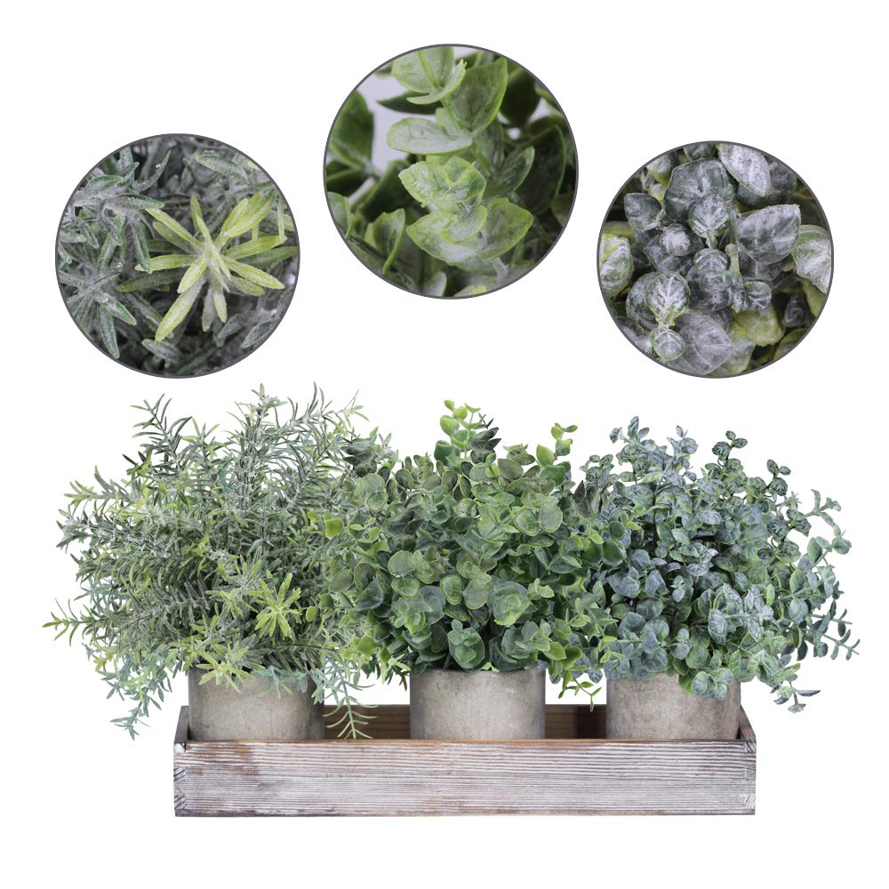 Set of 3 Mini Potted Artificial Eucalyptus Plants Faux Rosemary Plant Assortment with Wood Planter Box for Indoor Office Desk Apartment Wedding Tabletop Greenery Decorations 8.7" Tall