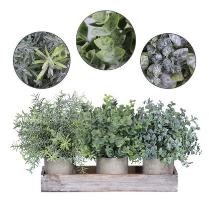 Set of 3 Mini Potted Artificial Eucalyptus Plants Faux Rosemary Plant Assortment with Wood Planter Box for Indoor Office Desk Apartment Wedding Tabletop Greenery Decorations 8.7" Tall
