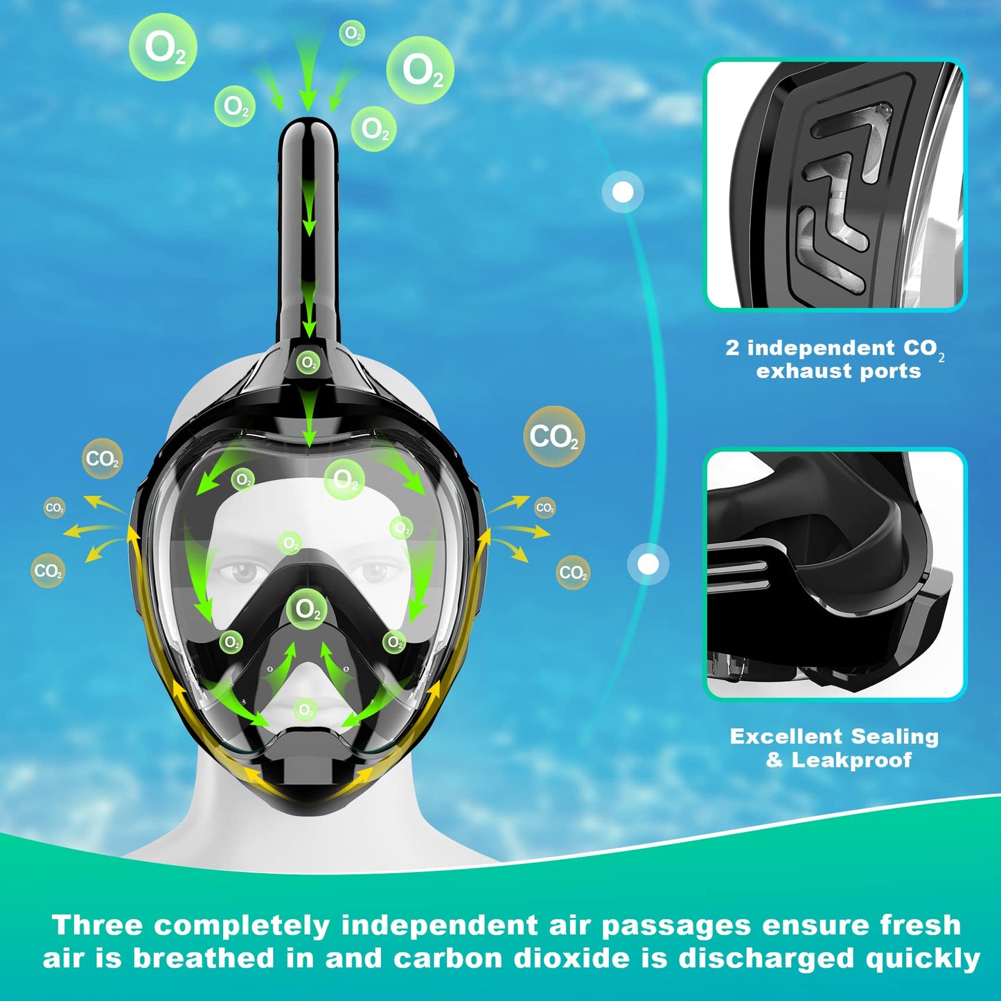 Zeeporte Dive Full Face Snorkel Mask, Snorkeling Gear for Adults Kids with Latest Dry Top Breathing System and Detachable Camera Mount, Foldable Mask with 180 Degree Panoramic View, Anti Leak&Fog
