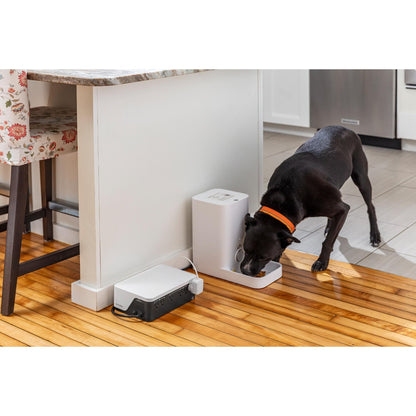 APC UPS Battery Backup, 700VA UPS with 4 Backup Battery Outlets, Type C USB Charging, BE700G3 Back UPS