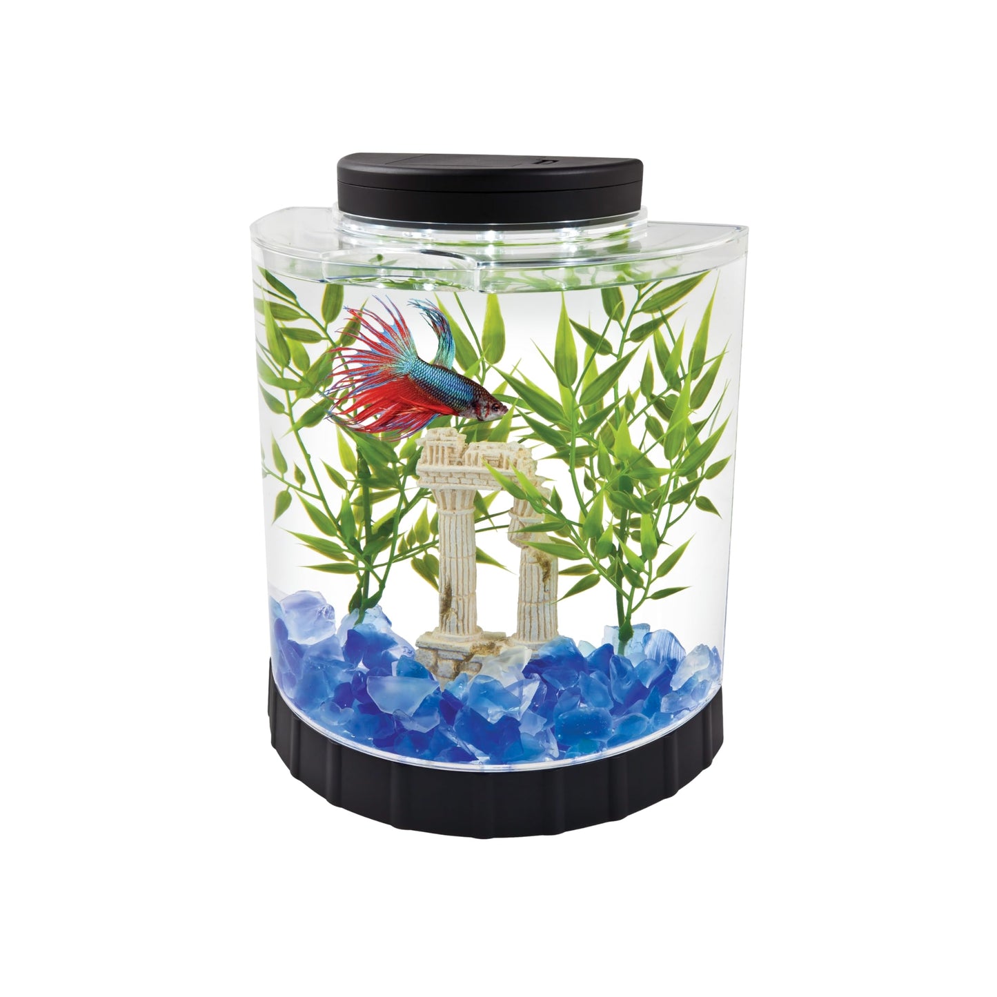 Tetra 1 Gallon Half Moon Small Fish Tank w/ Movable LED Light, For Betta & Gold Fish, Aquarium
