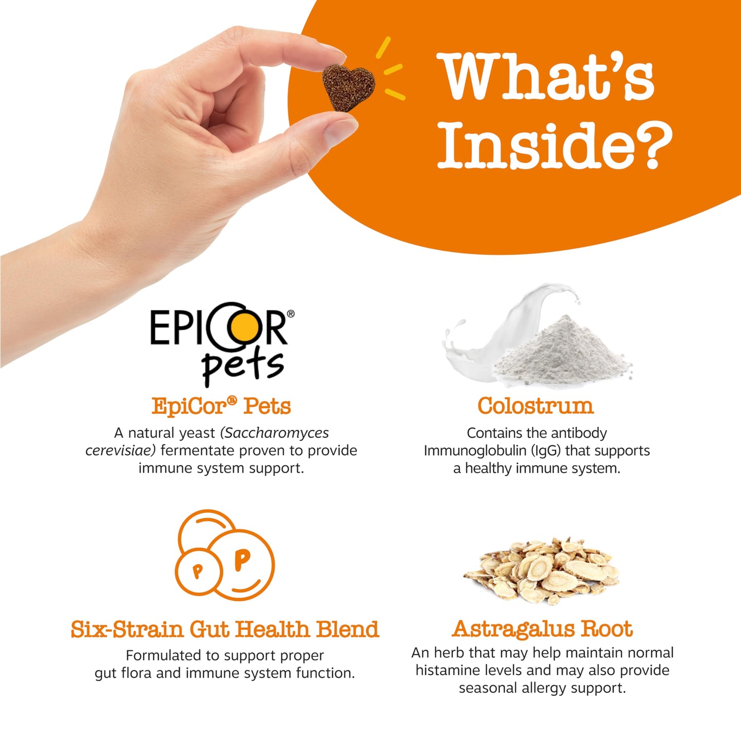 Zesty Paws Dog Allergy Relief- Dog Itching Skin Relief- Dog Probiotics for Itchy Skin and Itchy Ears- Dog Allergy Paw Relief- Dog Allergy Chews- Dog Itch Relief - Dog Skin Allergy Relief - Lamb - 90ct