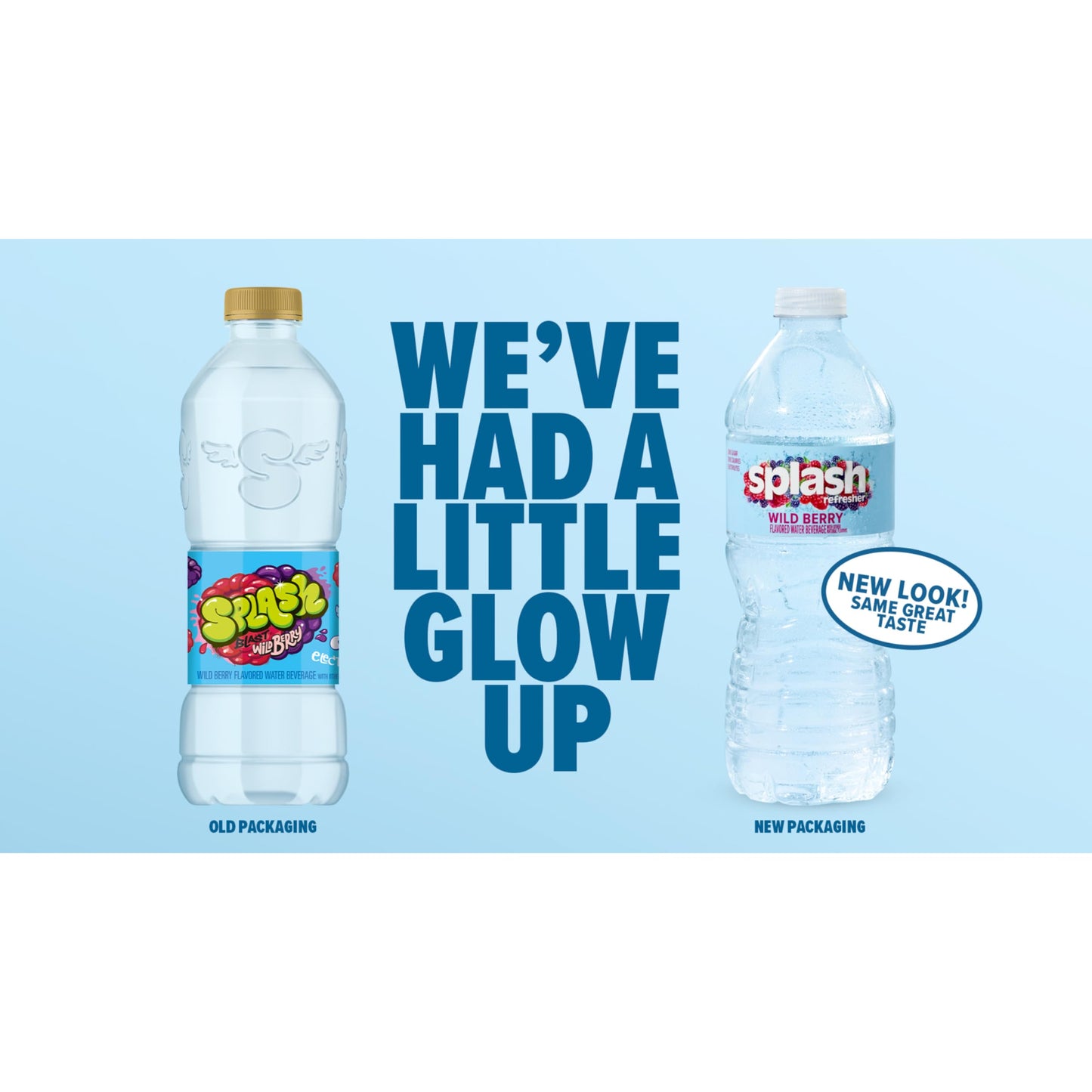 Splash Refresher Flavored Water Bottles, Wild Berry Flavor - 6-Pack, 16.9 Fl Oz - Refreshing Flavored Bottled Water with Electrolytes - Zero Sugar & Zero Calories