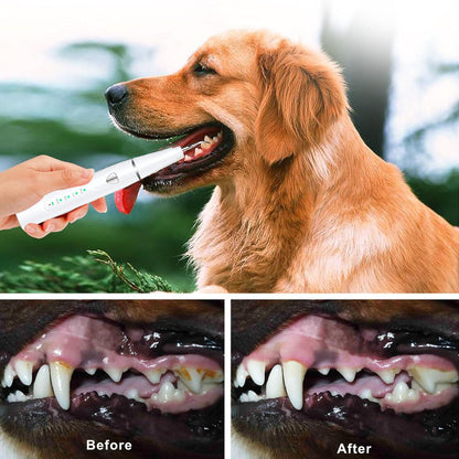 Psytpusa Dog Teeth Cleaning Kit - Dental Plaque Remover Tool, 3 Cleaning Modes, LED Light