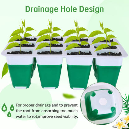 Rarello 5 Packs Seed Starter Tray with Grow Light, Reusable Pop-Out Seed Starter Kit, 60 Cells With Humidity Domes, Indoor Gardening Plant Germination Trays for Seeds