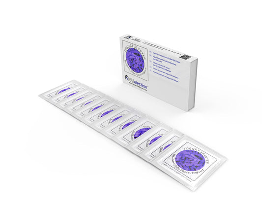 Yogurt Starter Cultures - Pack of 12 Freeze-dried Culture Sachets for Balkan Style Plain Yogurt (12)