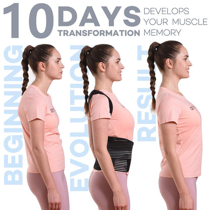 sicheer Posture Corrector for Women and Men Back Brace Straightener Shoulder Upright Support Trainer for Body Correction and Neck Pain Relief, Large(waist 39-41 inch)