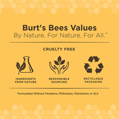 Burt's Bees for Pets Kitten Wipes with Buttermilk - Pet Wipes for Cats Waterless Bathing & Cleaning, Kitten Essentials for Indoor Kittens, Gentle Cat Grooming Wipe for Face, Paws & Butt, 50 Count