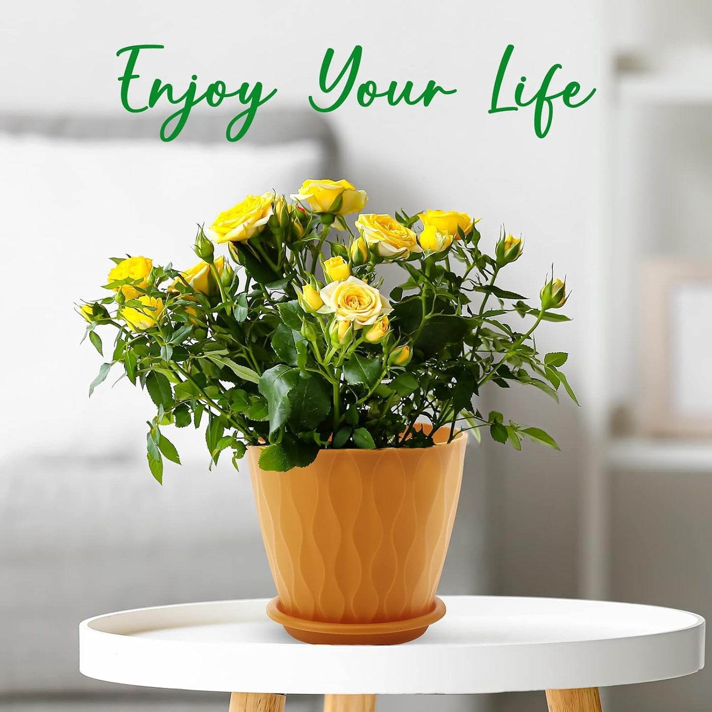 YNNICO 6 inch Plant Pots, 5 Pack Flower Pots Outdoor Indoor, Planters with Drainage Holes and Tray Saucers（Multicolor）