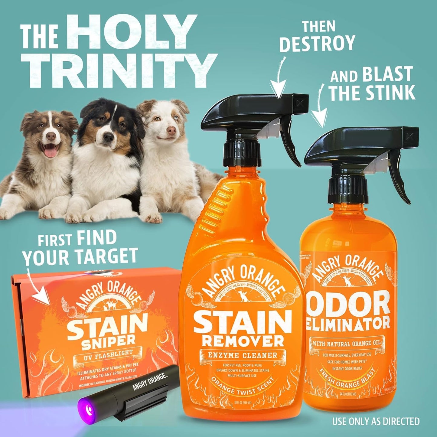 ANGRY ORANGE Pet Odor Eliminator Kit for Dog Urine - Citrus - 24 oz + UV Flashlight