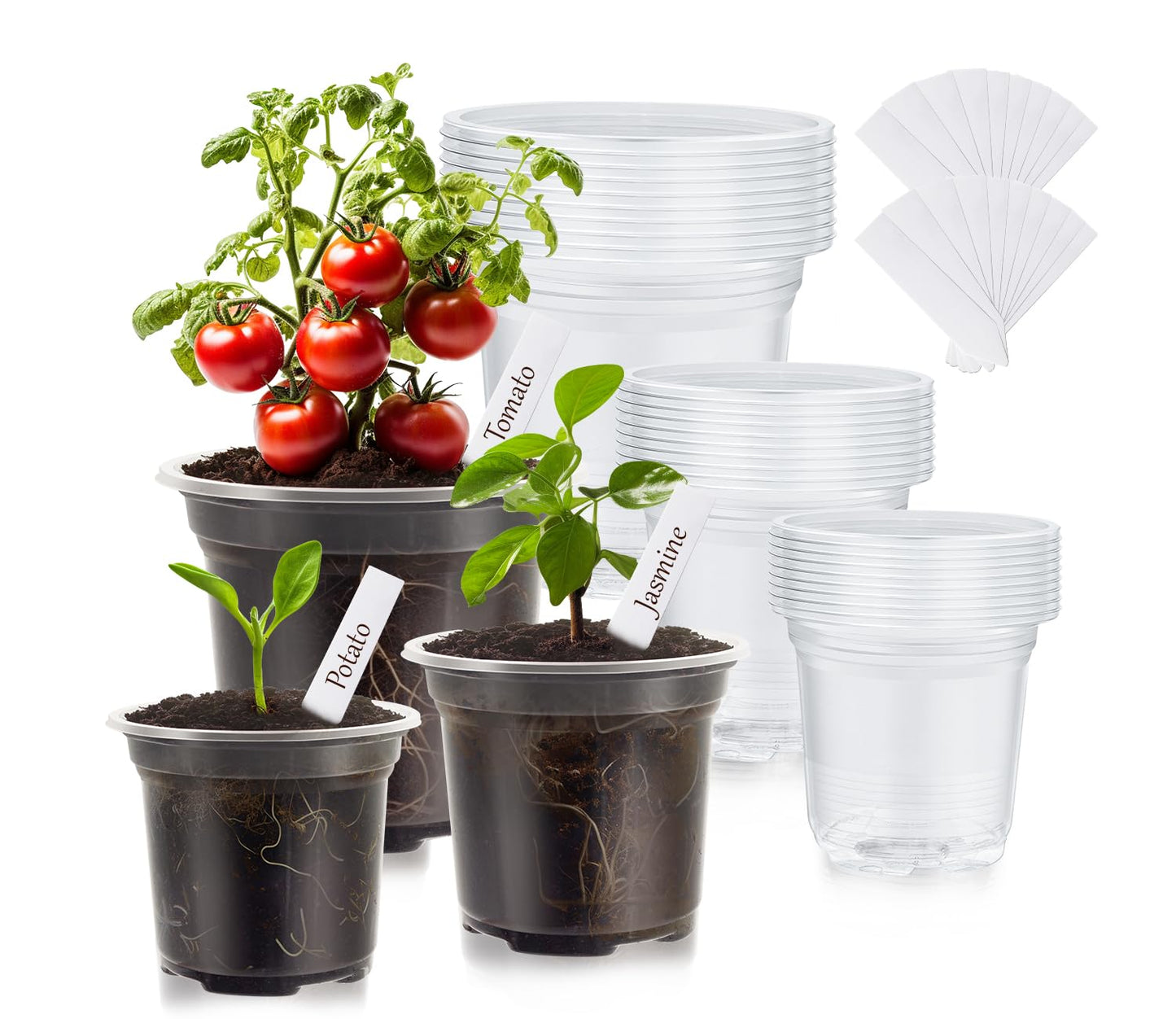 WandaQueen 30 Packs Clear Nursery Pots for Plants, 3.5/4/5 Inch High Transparency Plastic Seedling Plant Pot with Drainage Holes, Includes 20 Labels