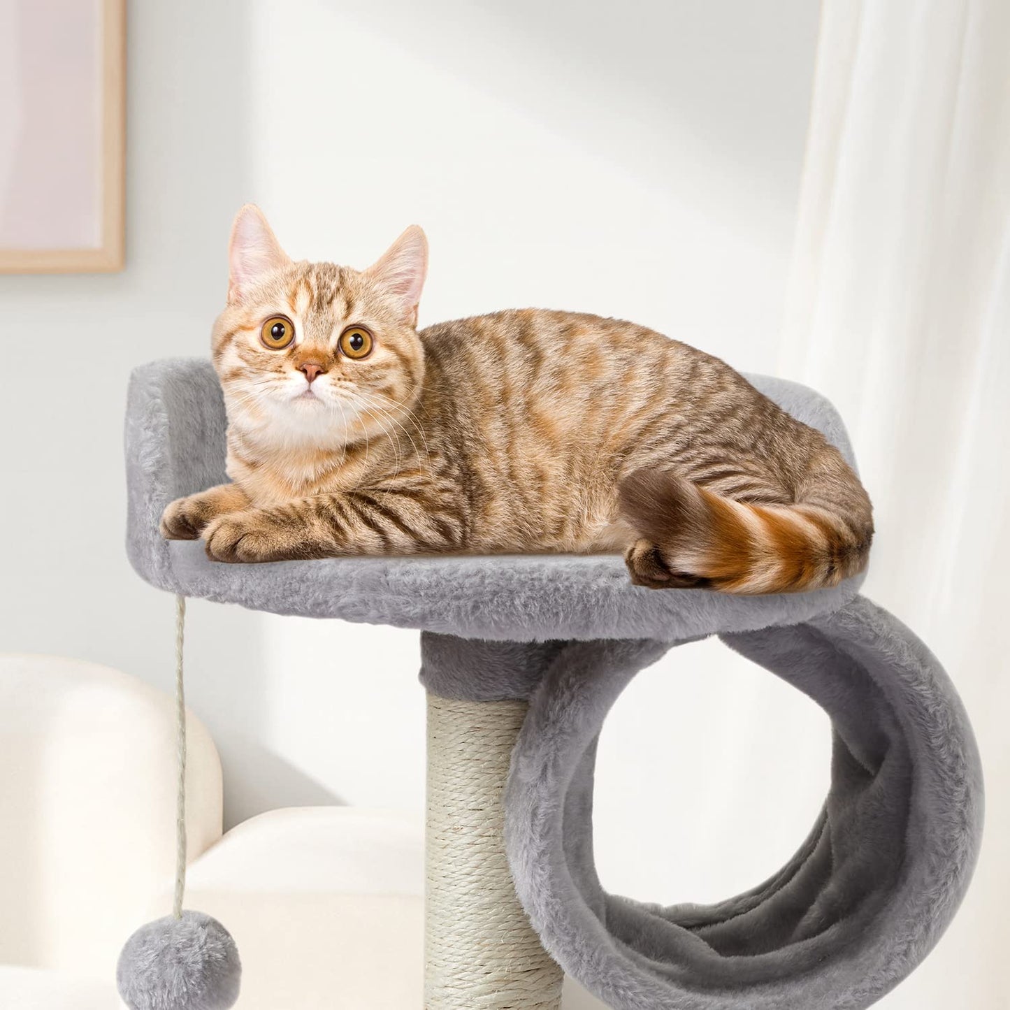 FISH&NAP US01H Cute Cat Tree Kitten Cat Tower for Indoor Cat Condo Sisal Scratching Posts with Jump Platform Cat Furniture Activity Center Play House Grey