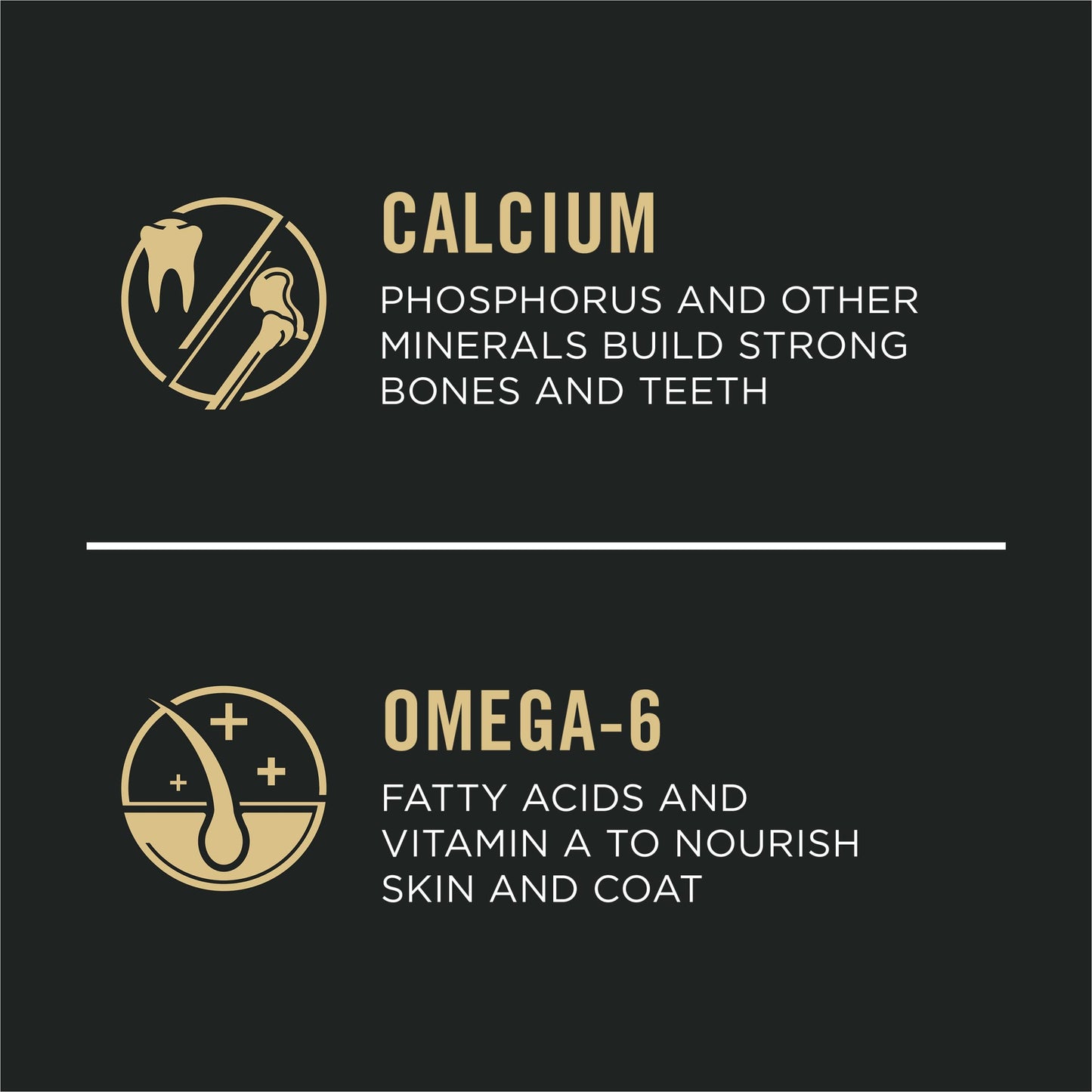 Purina Pro Plan Large Breed Dry Puppy Food, Chicken and Rice Formula - 47 lb. Bag