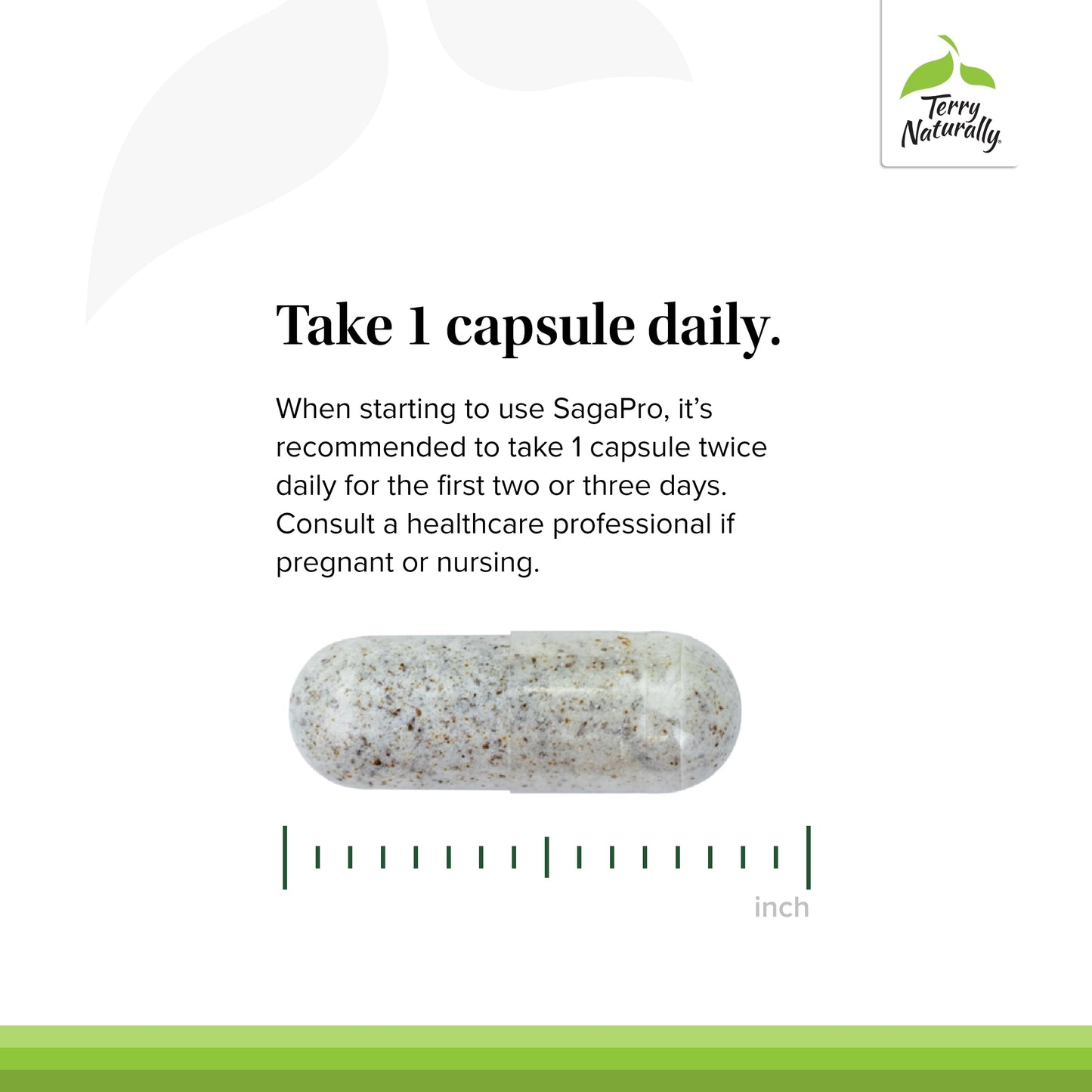 Terry Naturally SagaPro Bladder - Bladder Support Supplement - Dietary Supplement with Angelica Leaf Extract - Vegan Capsules to Aid Urinary Tract Function & Health - 60 Capsules