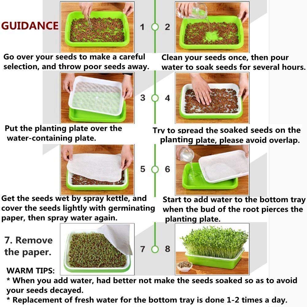SHEING Seed Sprouter Germination Tray 5 Pack, BPA Free Nursery Healthy Wheatgrass Seeds Grower & Storage Trays for Garden Home Office