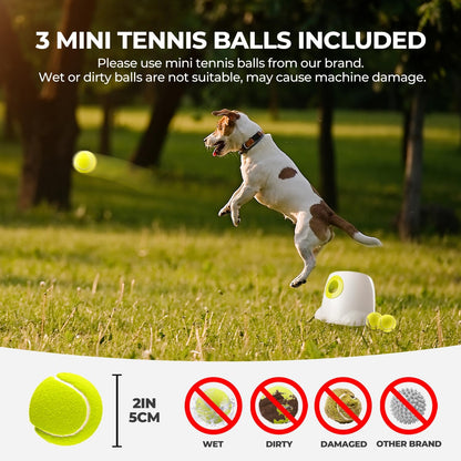 AFP Automatic Ball Launcher for Dogs Interactive Puppy Pet Ball Indoor Thrower Fetch Machine, 3 Balls Included (2 inch) for Small to Medium Dogs
