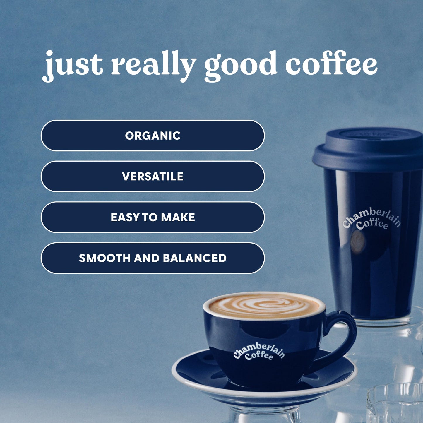 Chamberlain Coffee Variety Box Single Serve Bags - Includes 5 Blends, Original Family, Early Bird, Night Owl, Careless Cat and Social Dog Blends - 10 Single Serve Cold Brew Sachets