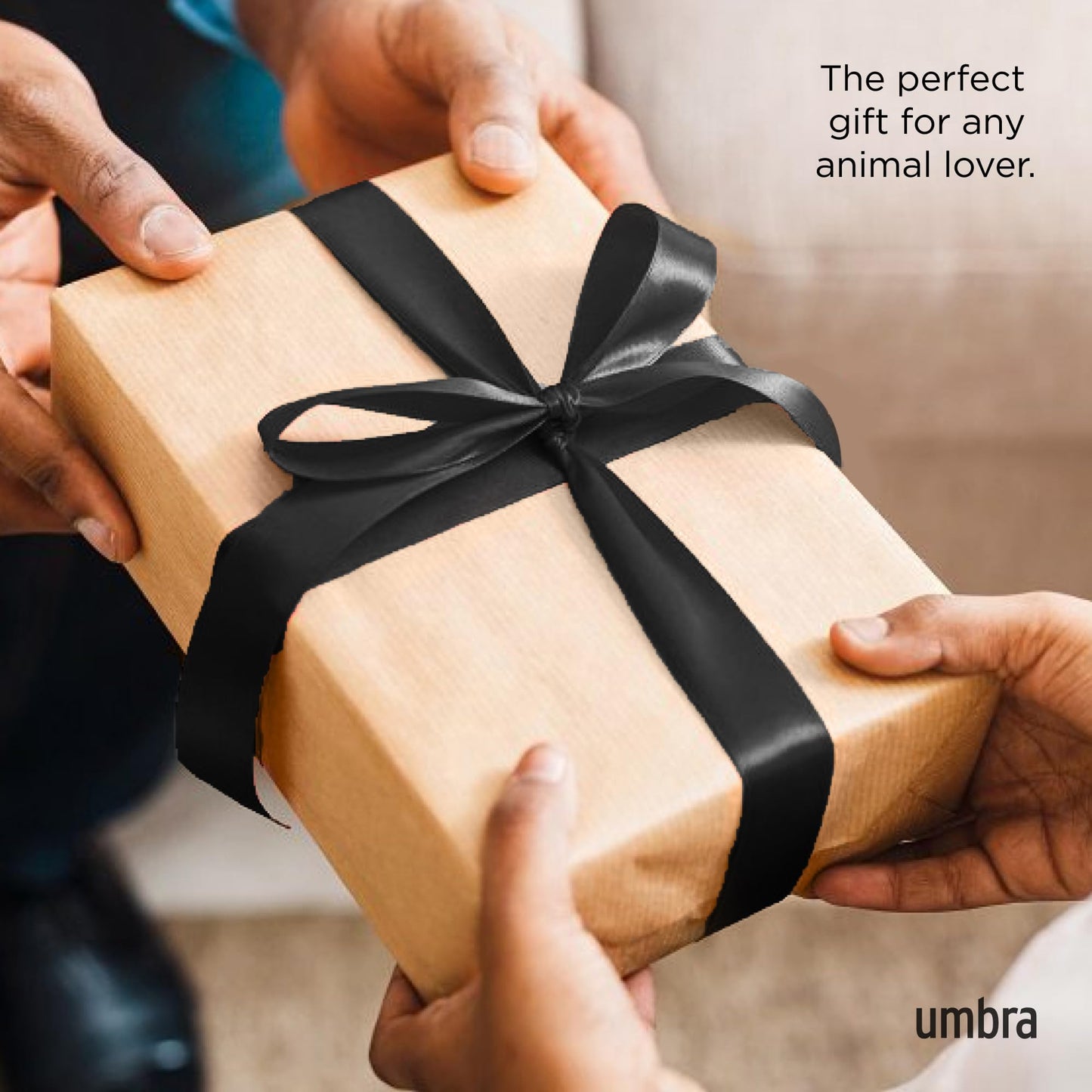 Umbra Dachsie Ring Holder - Gift for Weiner Dog Dachshund Doxie Lover - Jewelry Storage, Brass