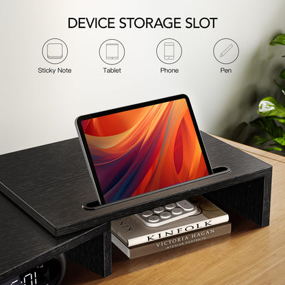 AMERIERGO Dual Monitor Stand Riser for 2 Monitors, Monitor Stand for Desk, Adjustable Computer Monitor Stand with 2 Slot, Multifunctional Desktop Organizer Stand for Laptop, PC, Computer, Printer