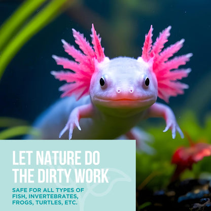 Aquarium Gravel Cleaner - Naturally Maintain a Healthier Tank, Reducing Fish Waste and Toxins (16 fl oz)