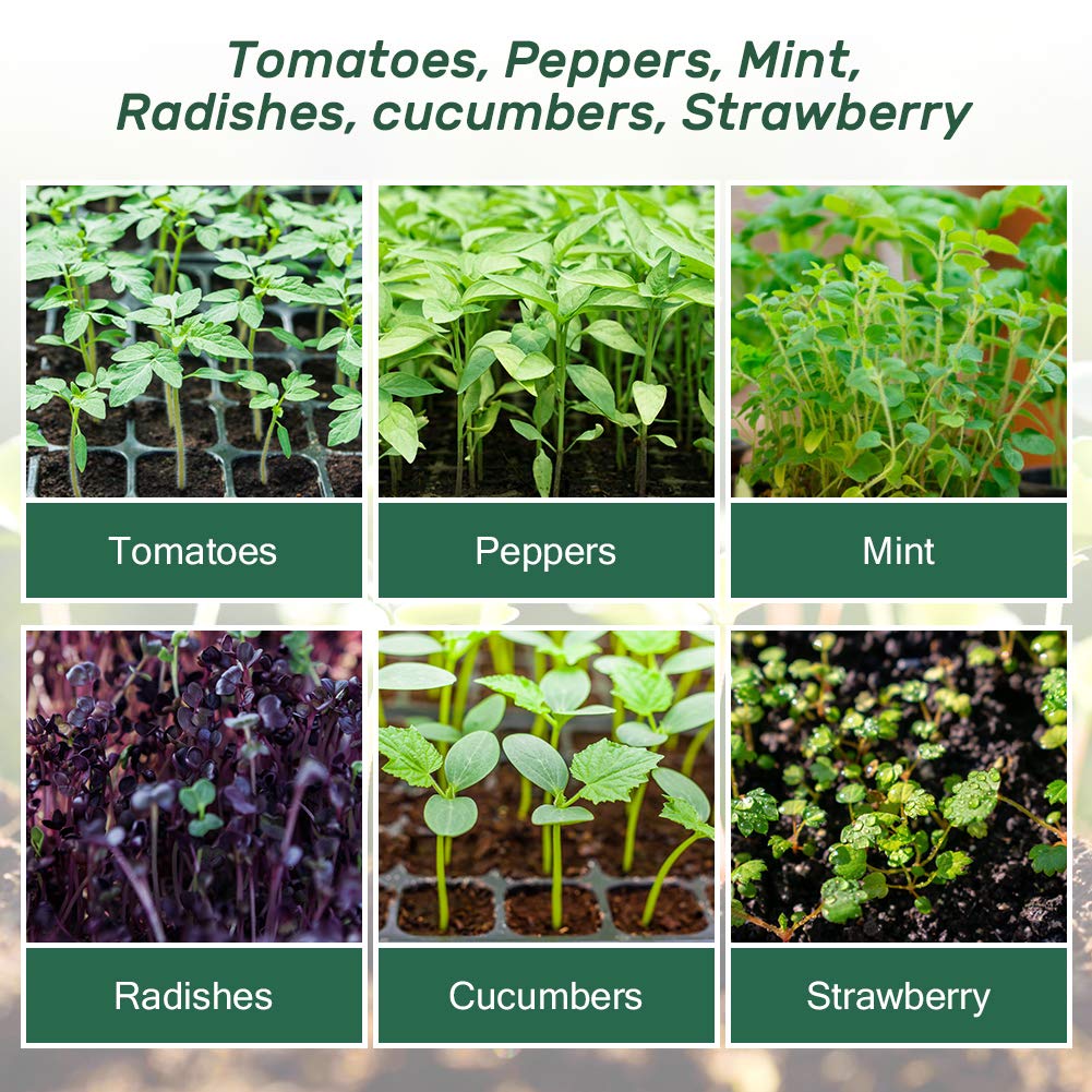 Bonviee 5-Pack Seed Starter Trays, Seed Starter Kit with Adjustable Humidity Dome and Base Indoor Greenhouse Mini Propagator for Seeds Growing Starting (12 Cells Per Tray, Green)