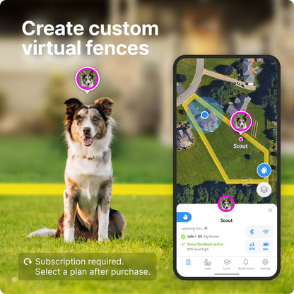 Halo Collar 3, Multifunctional GPS Wireless Dog Fence & Dog Training Collar with GPS Tracker, Subscription Required, Waterproof, Graphite (Medium/Large)