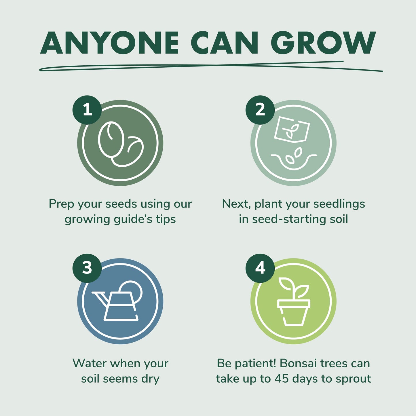 Garden Republic Bonsai Tree Kit - Grow 3 Mini Bonsai Trees, Indoor Plant Growing - Starter Kit with Seeds, Soil, Planters & Shears, Gardening Gifts for Women, Fathers Day Gardening Gifts