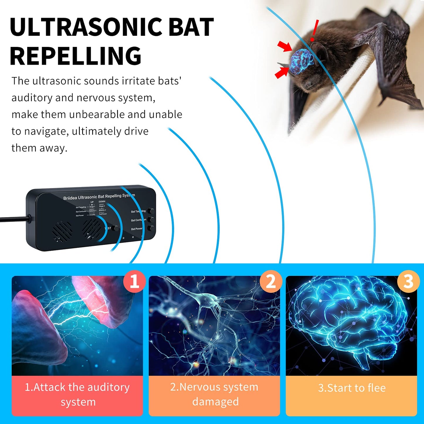 Ultrasonic Bat Removal, Briidea Bat Away System, Demands Bats to Flee, Human and Pet Safe