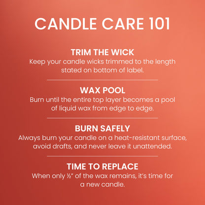 Yankee Candle Large Jar Scented Candle with up to 150 Hour Burn Time, Premium Plant Wax Blend for Consistent Burn, 22 oz Jar Candle with Room Filling Fragrance, Spiced Pumpkin