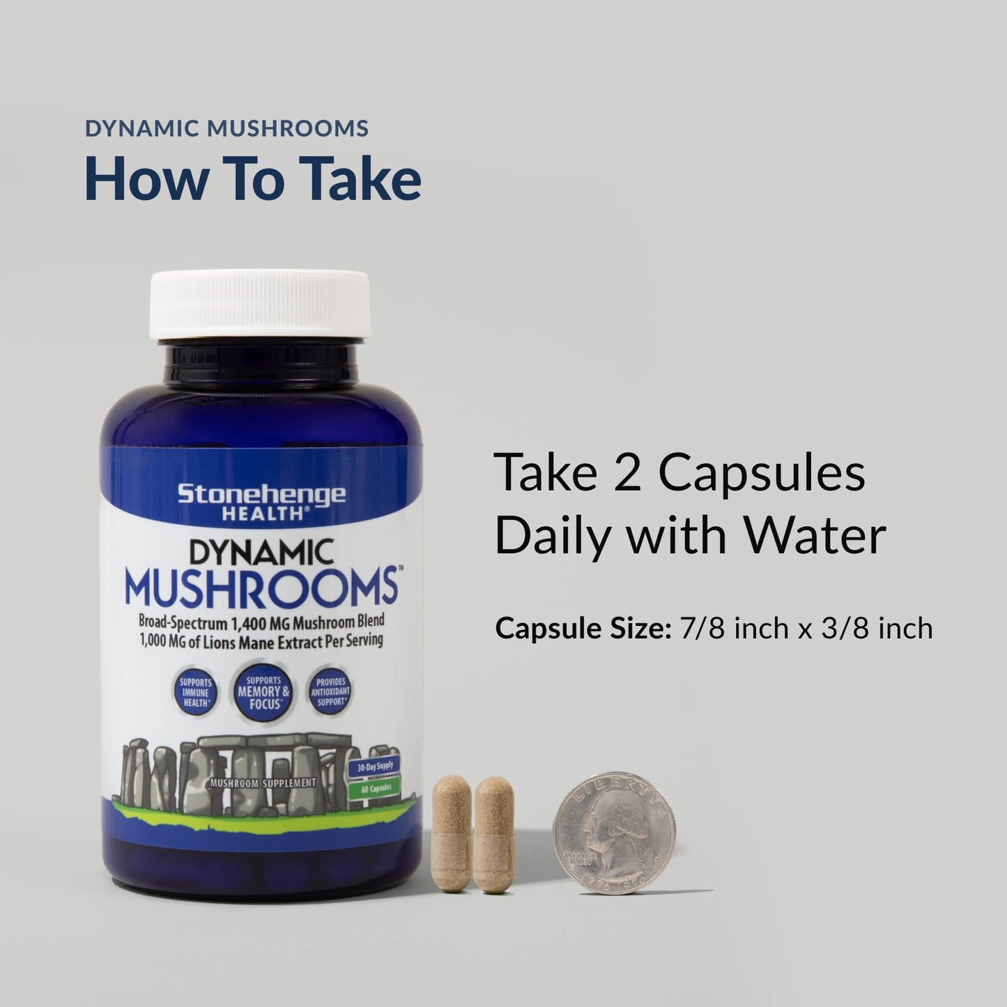Stonehenge Health Dynamic Mushrooms - 100% Fruiting Bodies & Extracts - Lion’s Mane, Chaga, Maitake, Shiitake, Reishi - Nootropic Brain & Immune System Support - No Mycelium - 60 Veggie Capsules