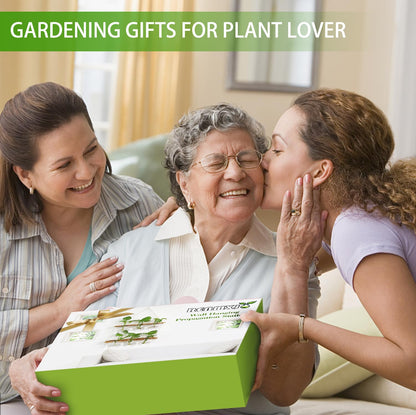 Renmxj Plant Propagation Station Wall Hanging, Plant Terrarium with 2 Tiered Wooden Stand for Hydroponics Plants, Unique Gardening Gifts for Women Mom Plants Lovers - 6 Bulb Glass Vases